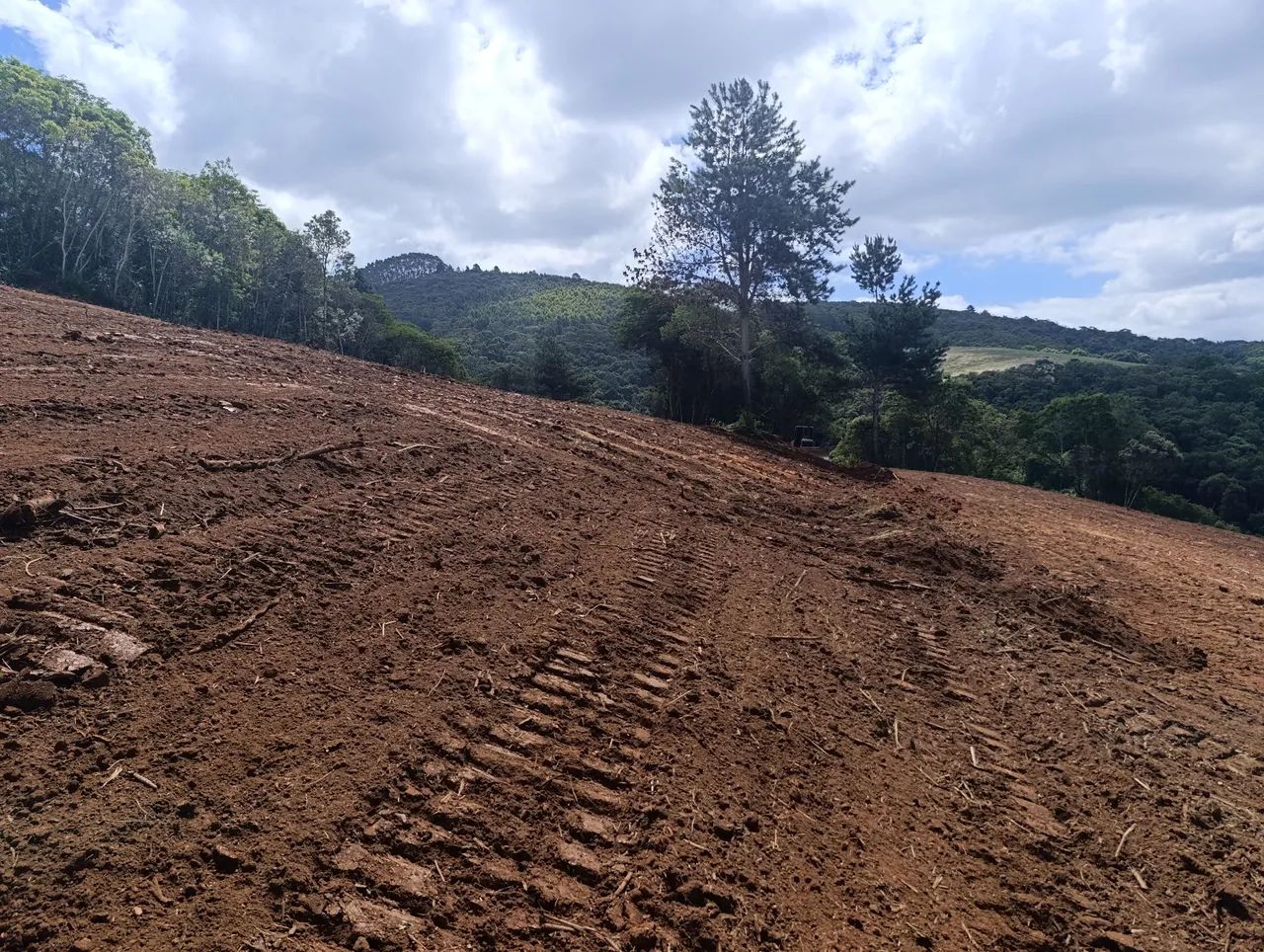 VENDO Lindo Terreno com 4000 m² - Bateias / Campo Largo - Foto 11