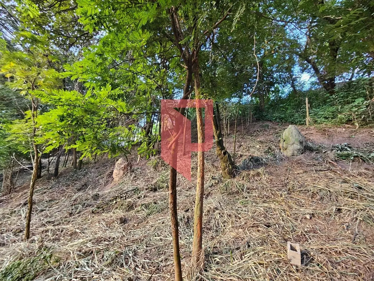 Terreno à venda no bairro Caiçaras, Belo Horizonte, MG