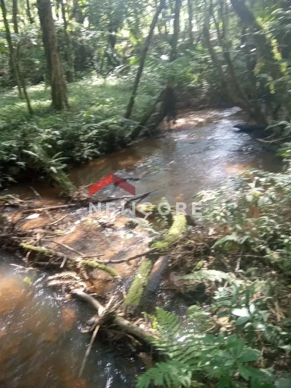 Chácara em Área Rural - Área Rural de São José dos Pinhais - São José dos Pinhais/PR - Foto 5