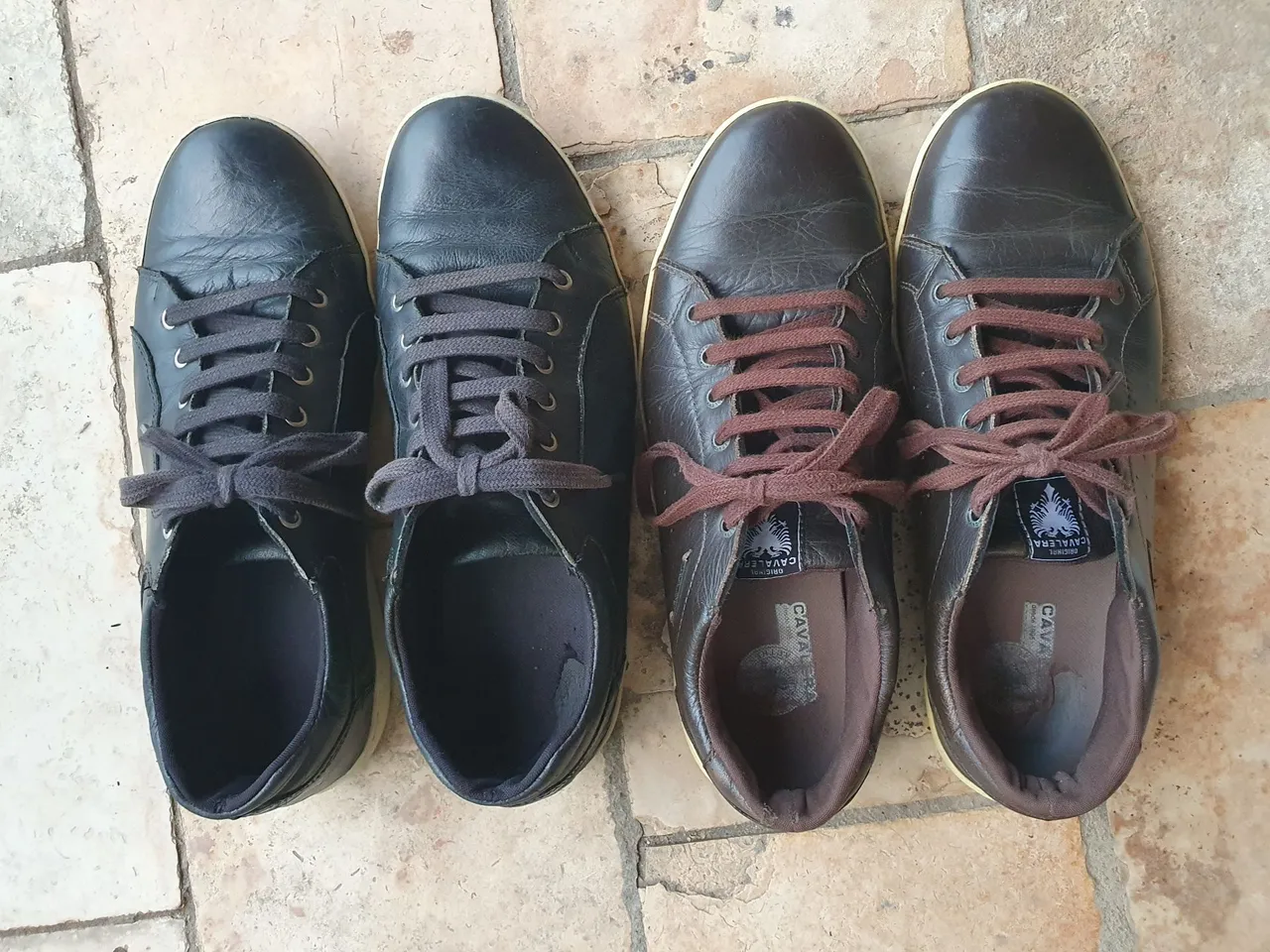 Tênis Cavalera Originais - Conforto e Estilo