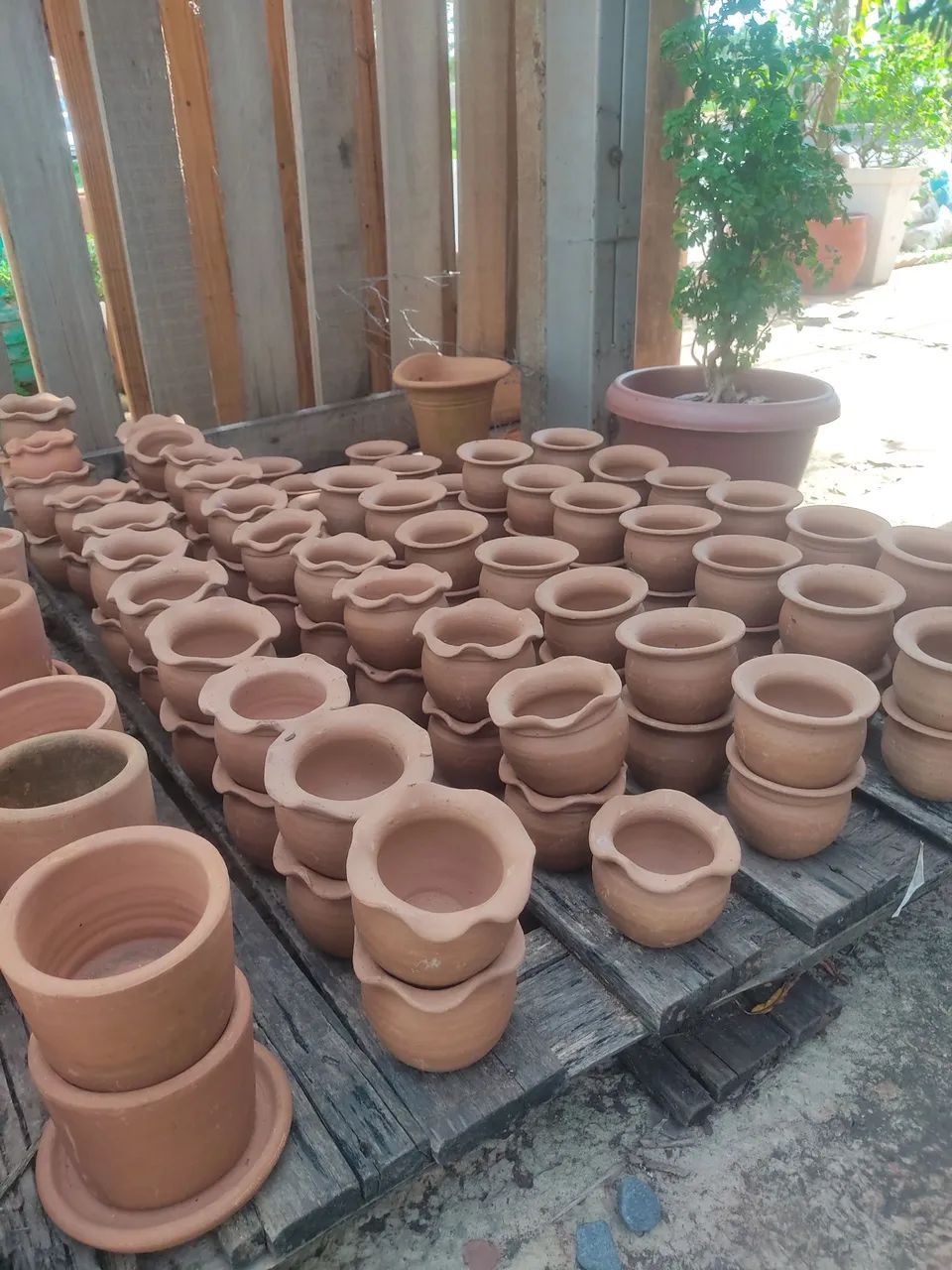 Vasos de barro para plantas - Foto 2