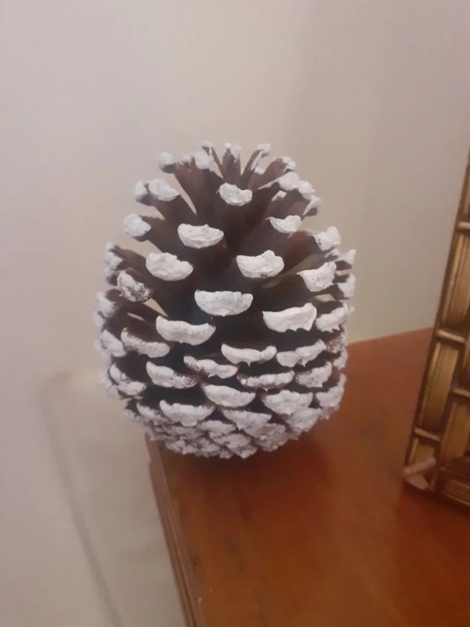 Pinhas de Natal - Foto 2