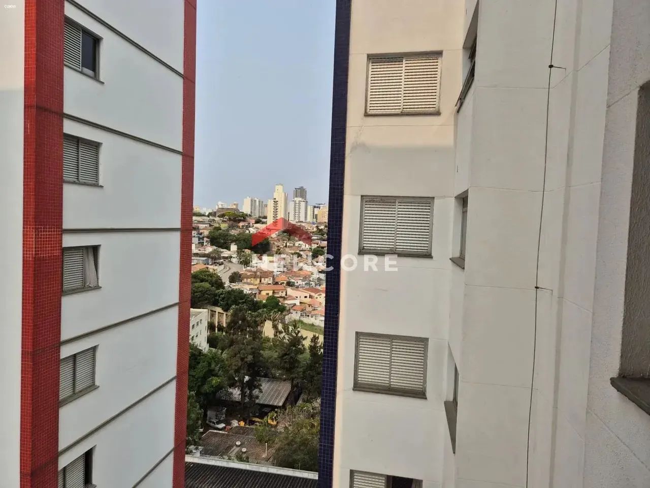 Apartamento em Rua Amador Bueno - Vila Industrial - Campinas/SP - Foto 4