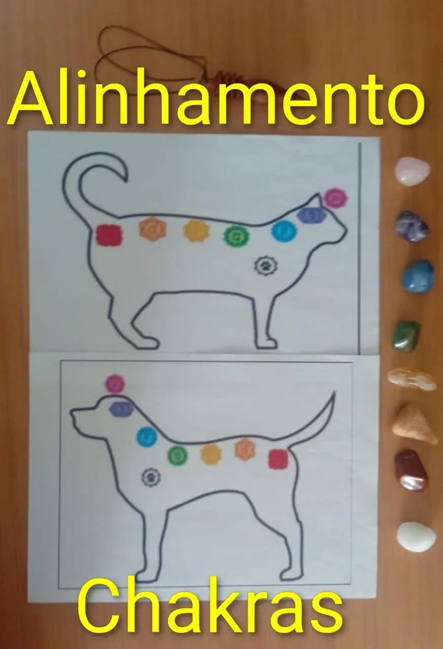RADIESTESIA PETS - Foto 2