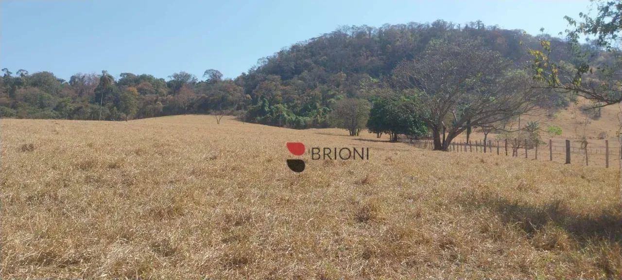 Área à venda, 152460 m² por R$ 680.000 - Zona Rural - Cássia dos Coqueiros/SP I Imobiliári - Foto 5