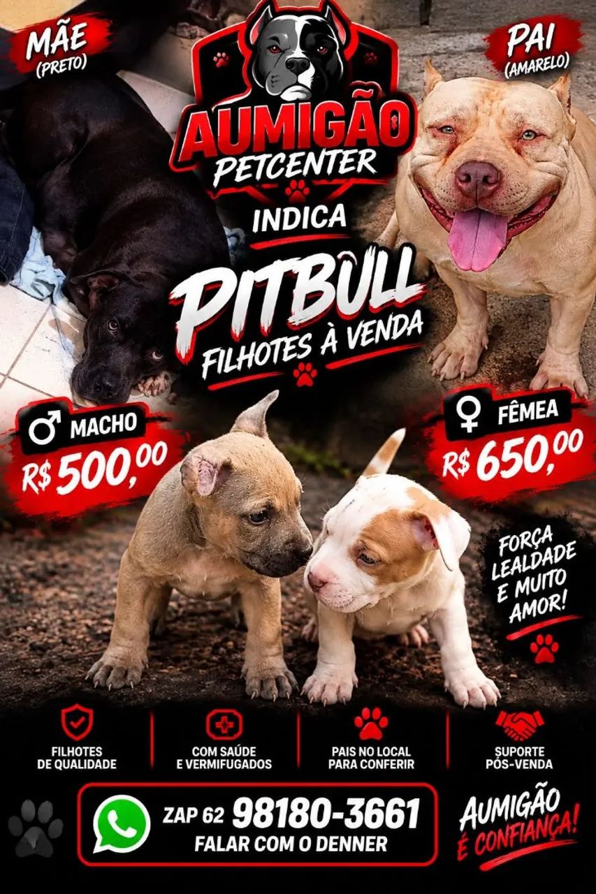 Filhotes 