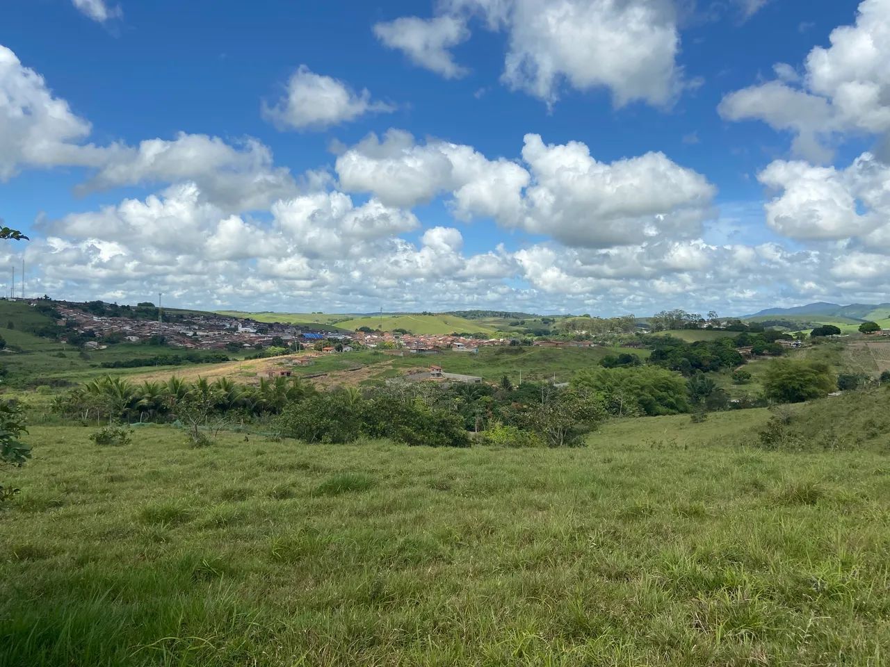 Sítio em Flexeiras 7 hectares, muitas fruteiras, 7 açudes já com peixes  - Foto 2