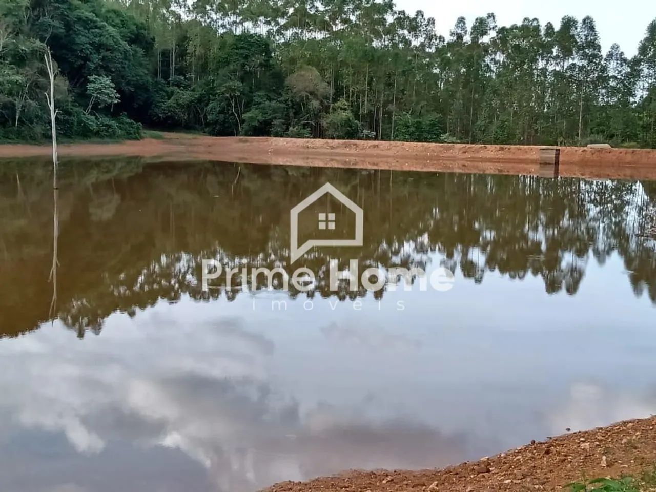 fazenda - Jacutinga - Jacutinga - Foto 5