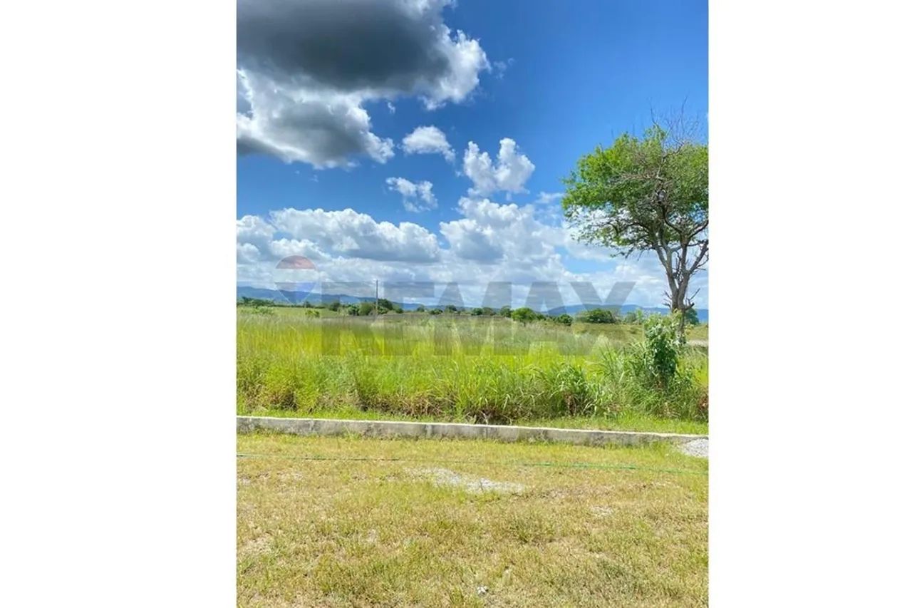 Terreno Exclusivo em Agrestina  Imperdível! - Foto 4