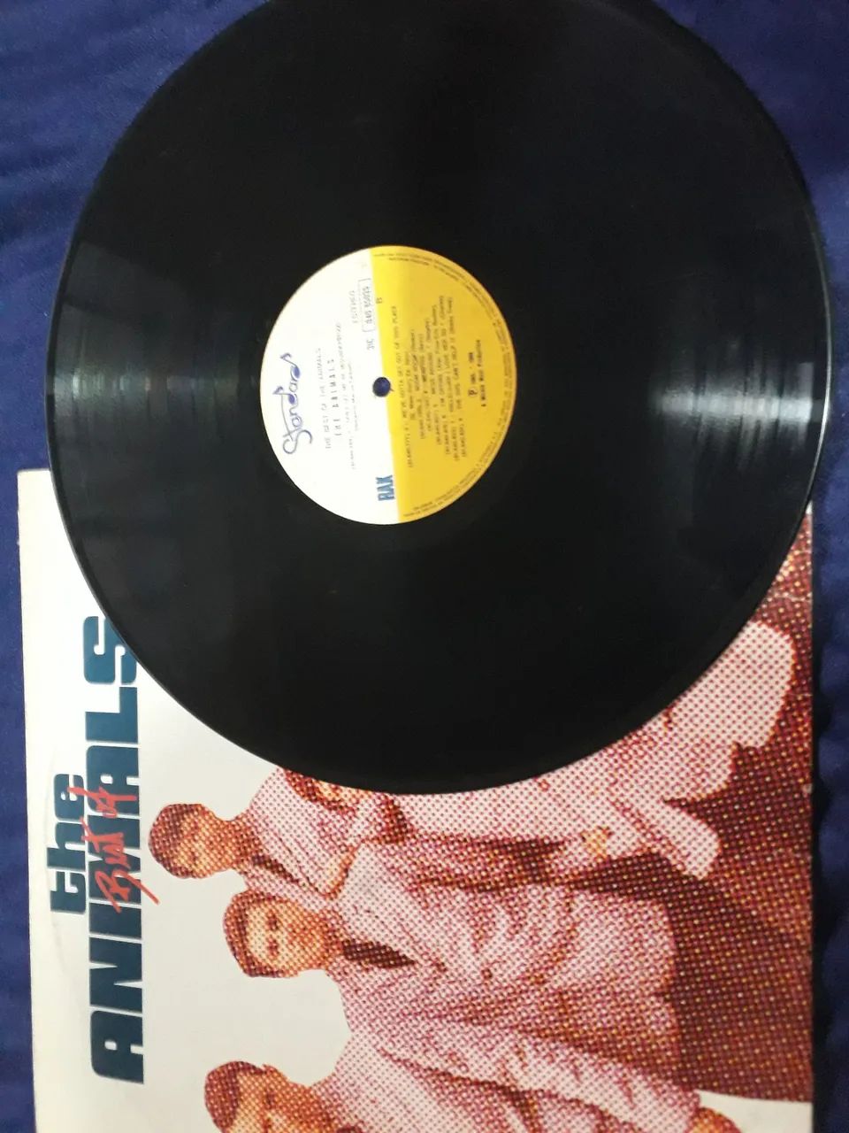 Disco the Animals - Foto 2