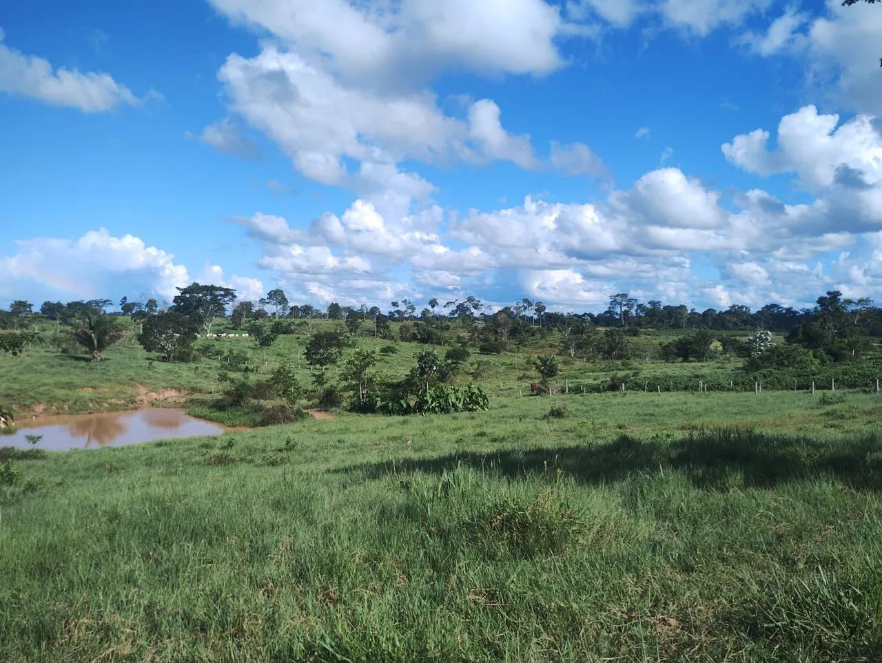 Terra a venda em Acrelândia/Ac - Foto 5