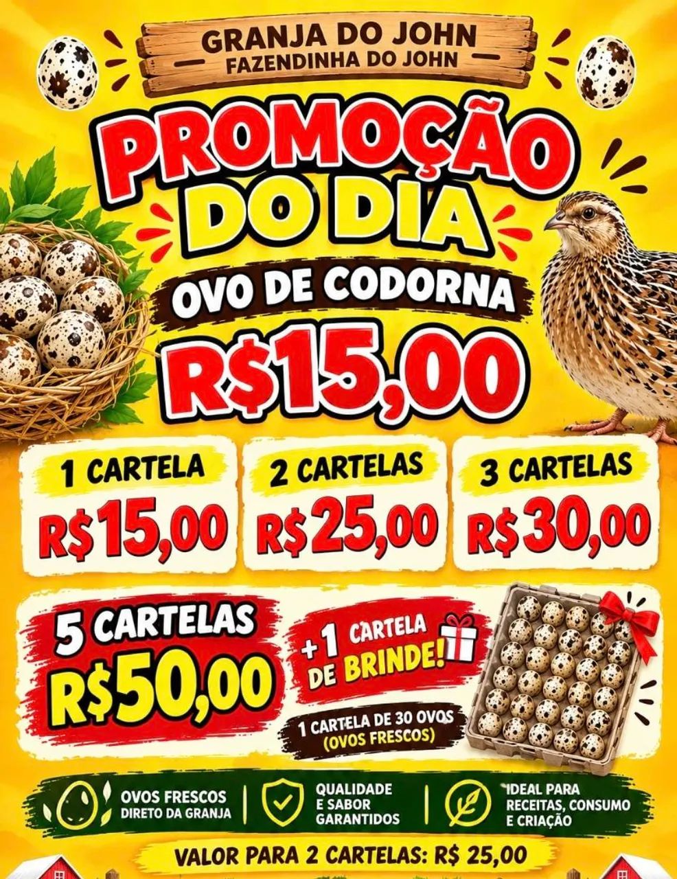 Codorna e ovo de codorna - Foto 5