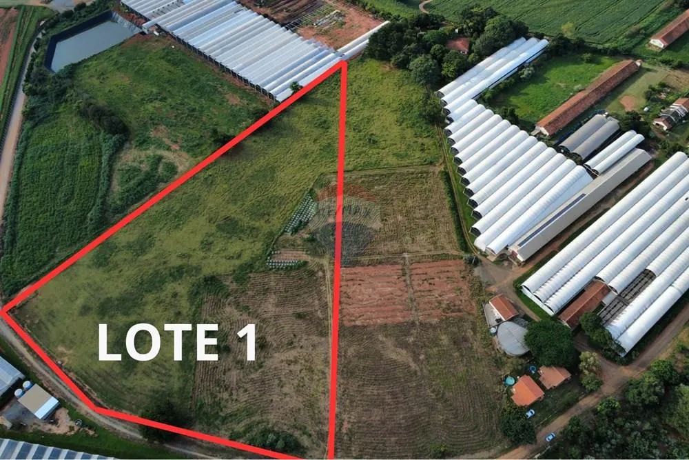 Terreno 20.000 m² planos a 5 km do centro de Holambra G3 - Foto 3