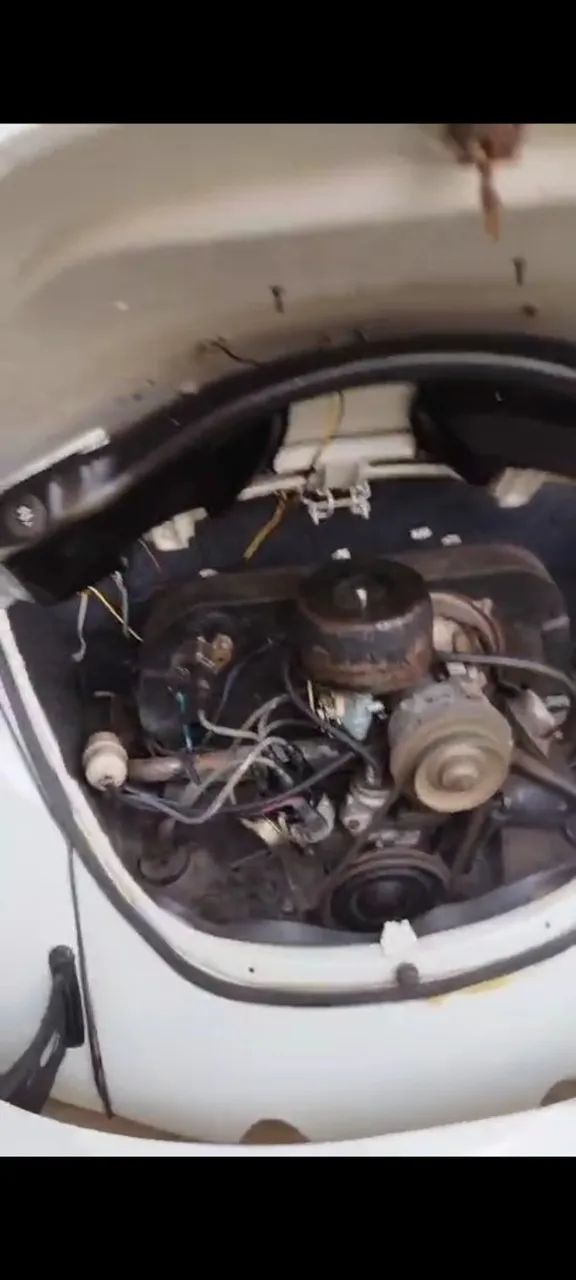 Volkswagen Fusca Fusca (gasolina) 1974