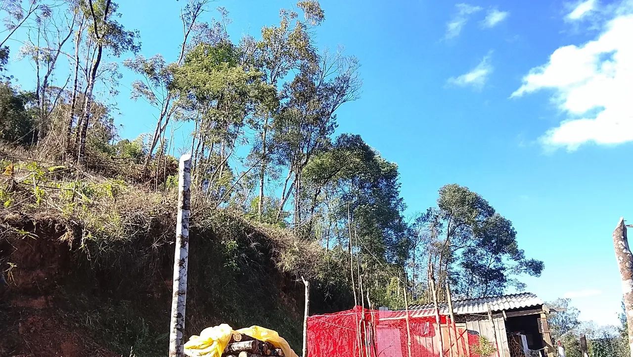 Terreno em Colombo  - Foto 3