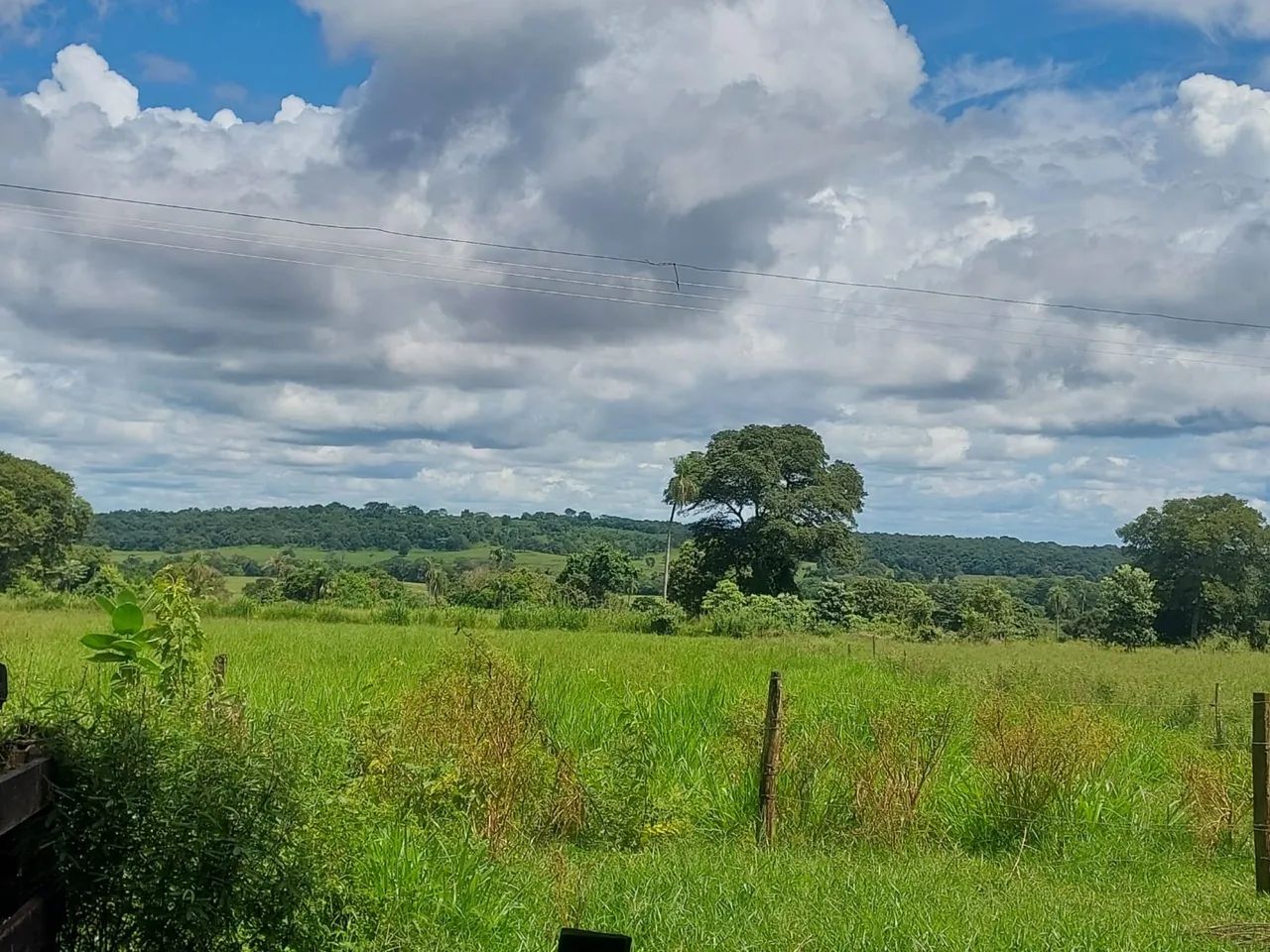 Chácara 85 hectares próxima a sidrolandia  - Foto 3
