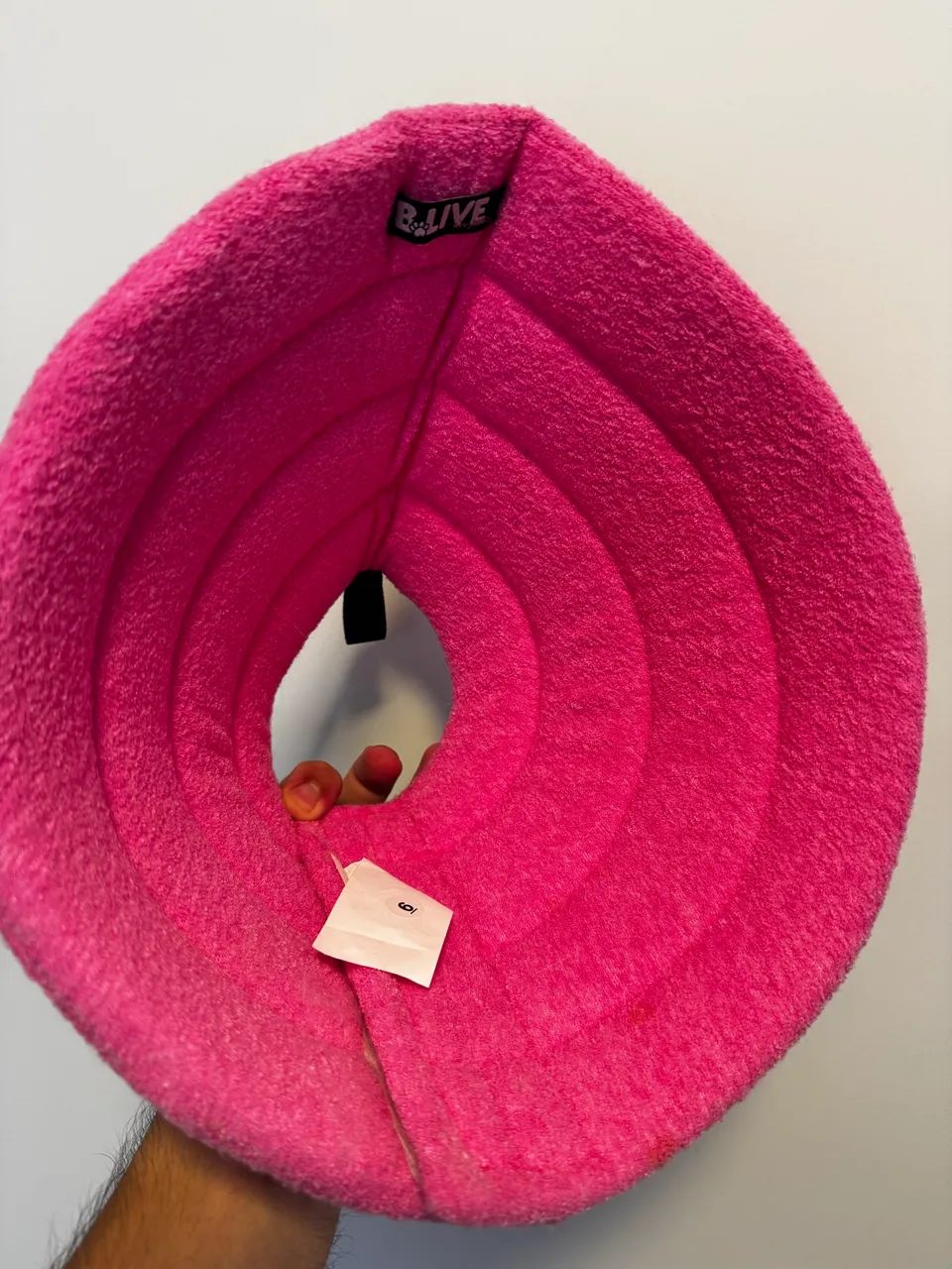 Colar/Cone Cirúrgico para cães e gatos