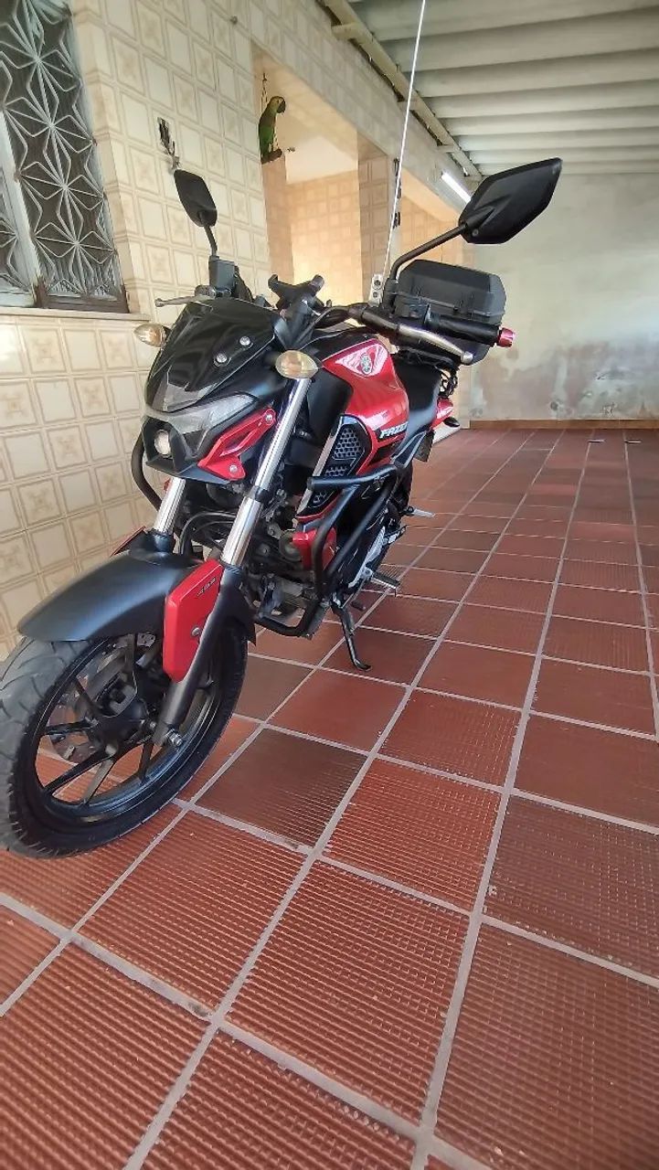 Fz15 2024