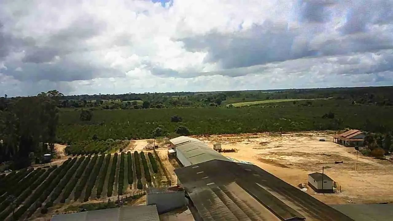 Fazenda com alta produção  - Foto 2