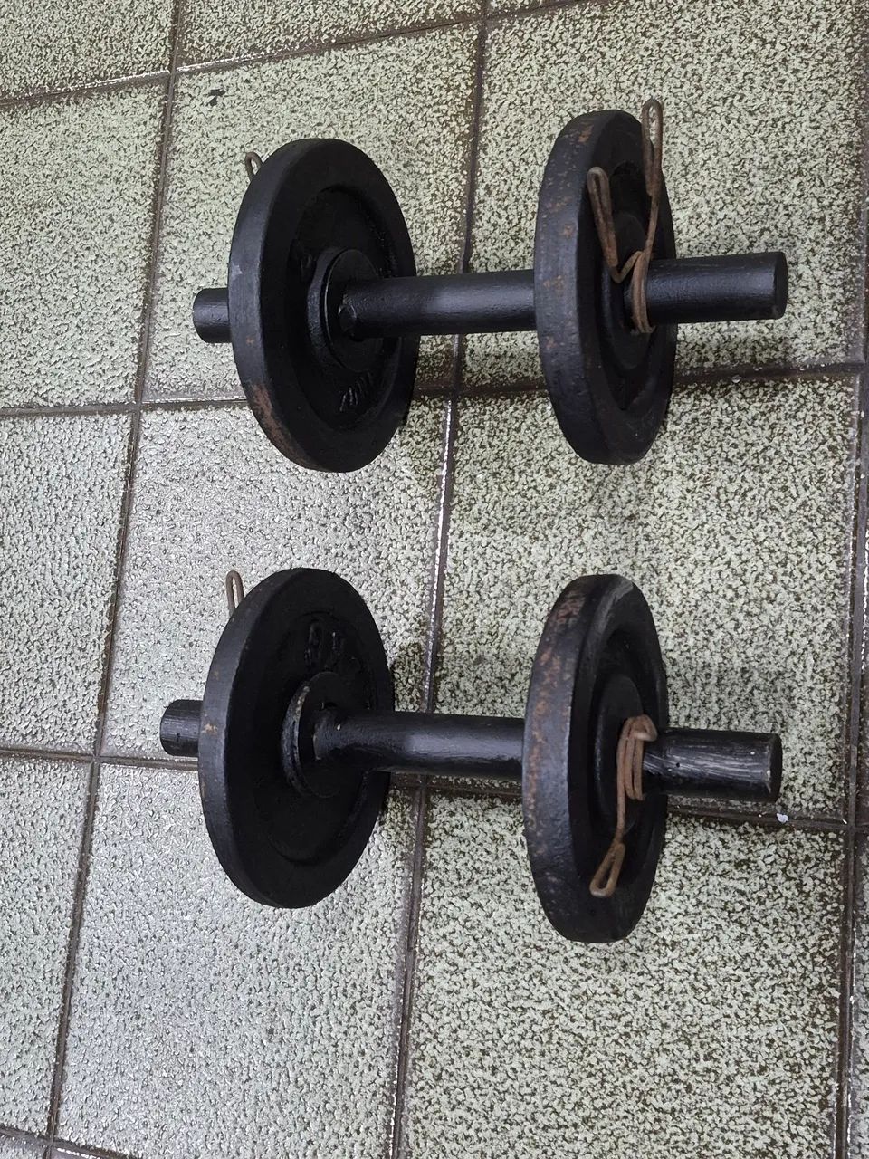 Par de halteres com anilhas de 2 kgs