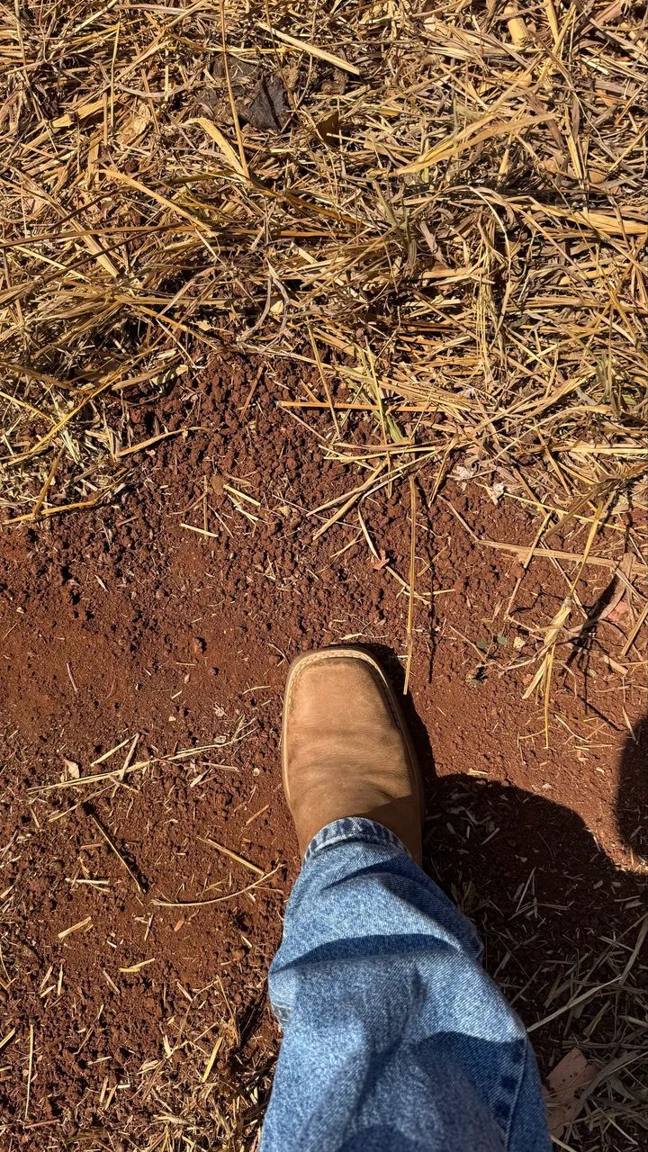 2 Alqueires em Goiás velho, terra boa  - Foto 2