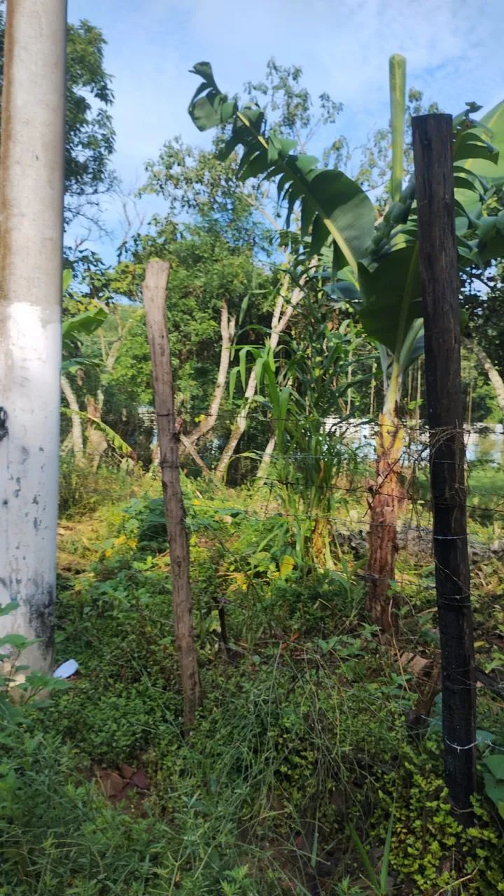 Foto - Itapecerica da Serra - Vila Geni