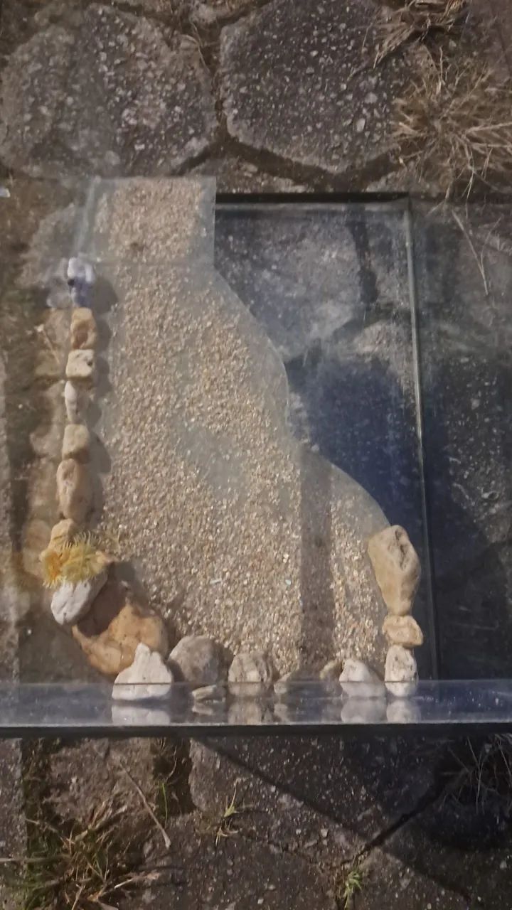 Aquario  - Foto 4