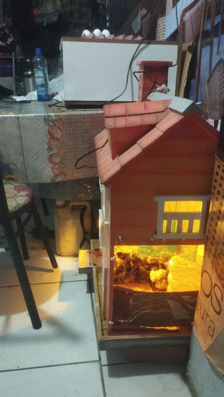 Pinto caipira  - Foto 2