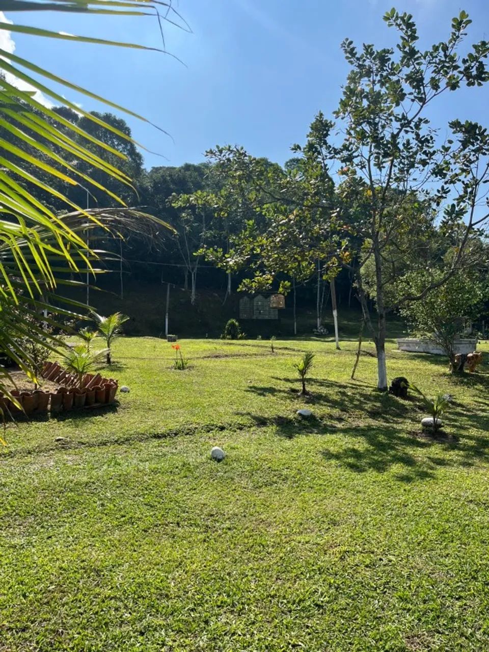 Sítio em Nova Iguaçu - Foto 3