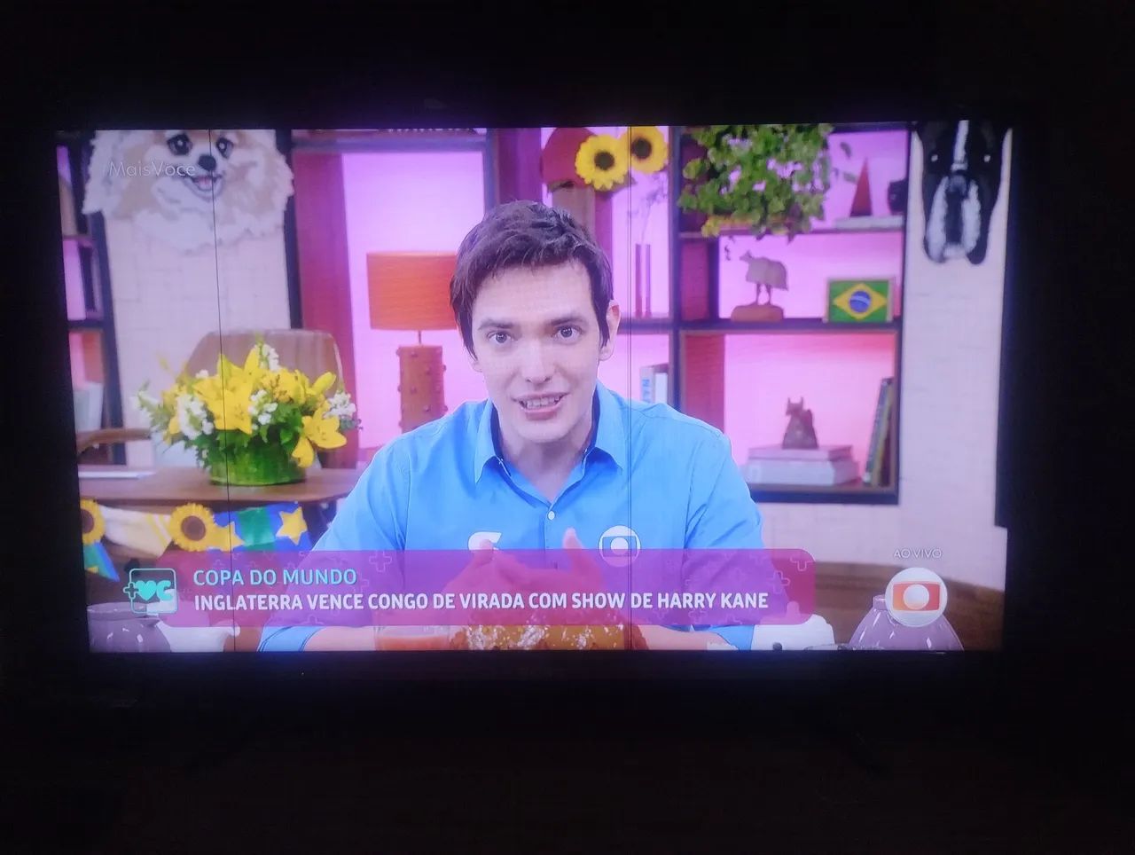Televisão Sony 40 polegadas Full HD 