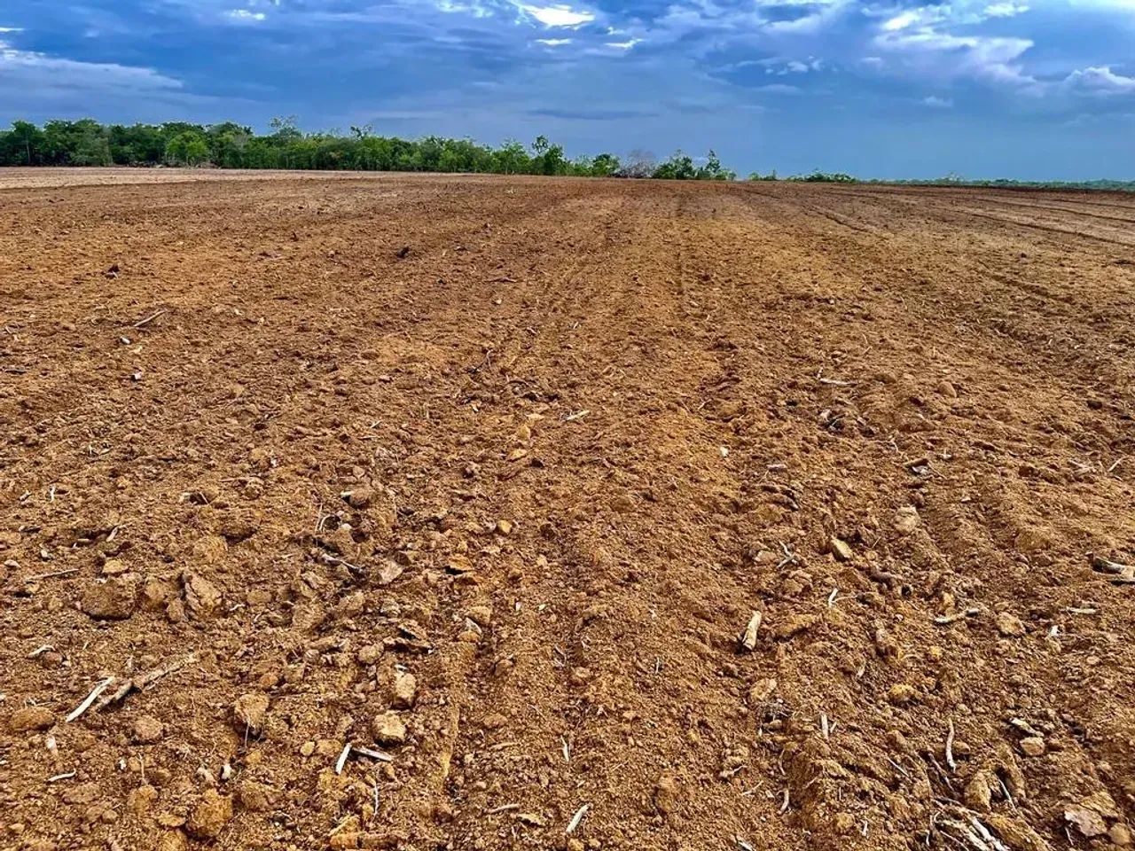 Fazenda a venda, em Redenção - Pará!!! - Foto 5