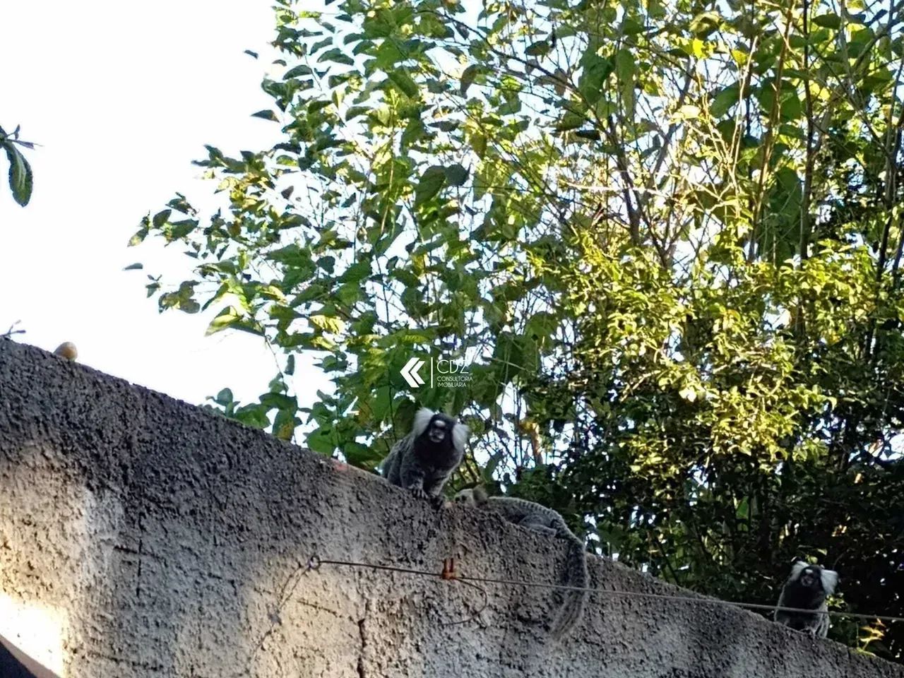 Casa para venda no Araçoiaba da Serra - Foto 3