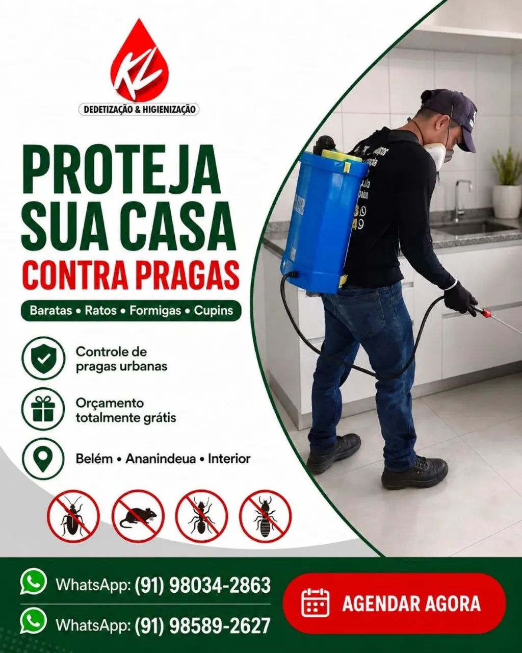 Dedetização kl dedetização  - Foto 4