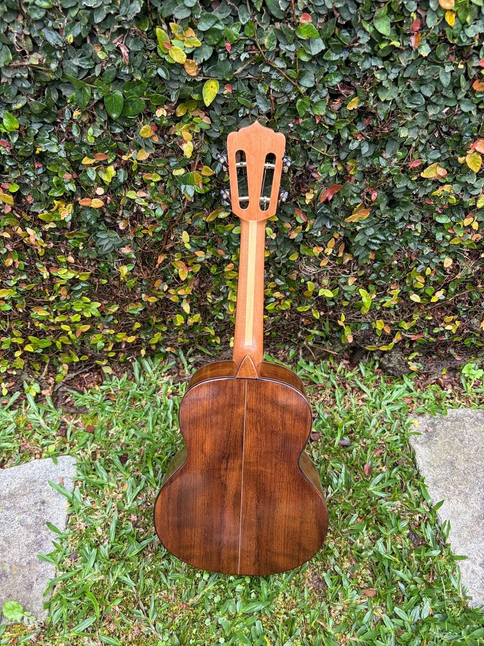 Cavaco Melodia Silveira - Foto 5