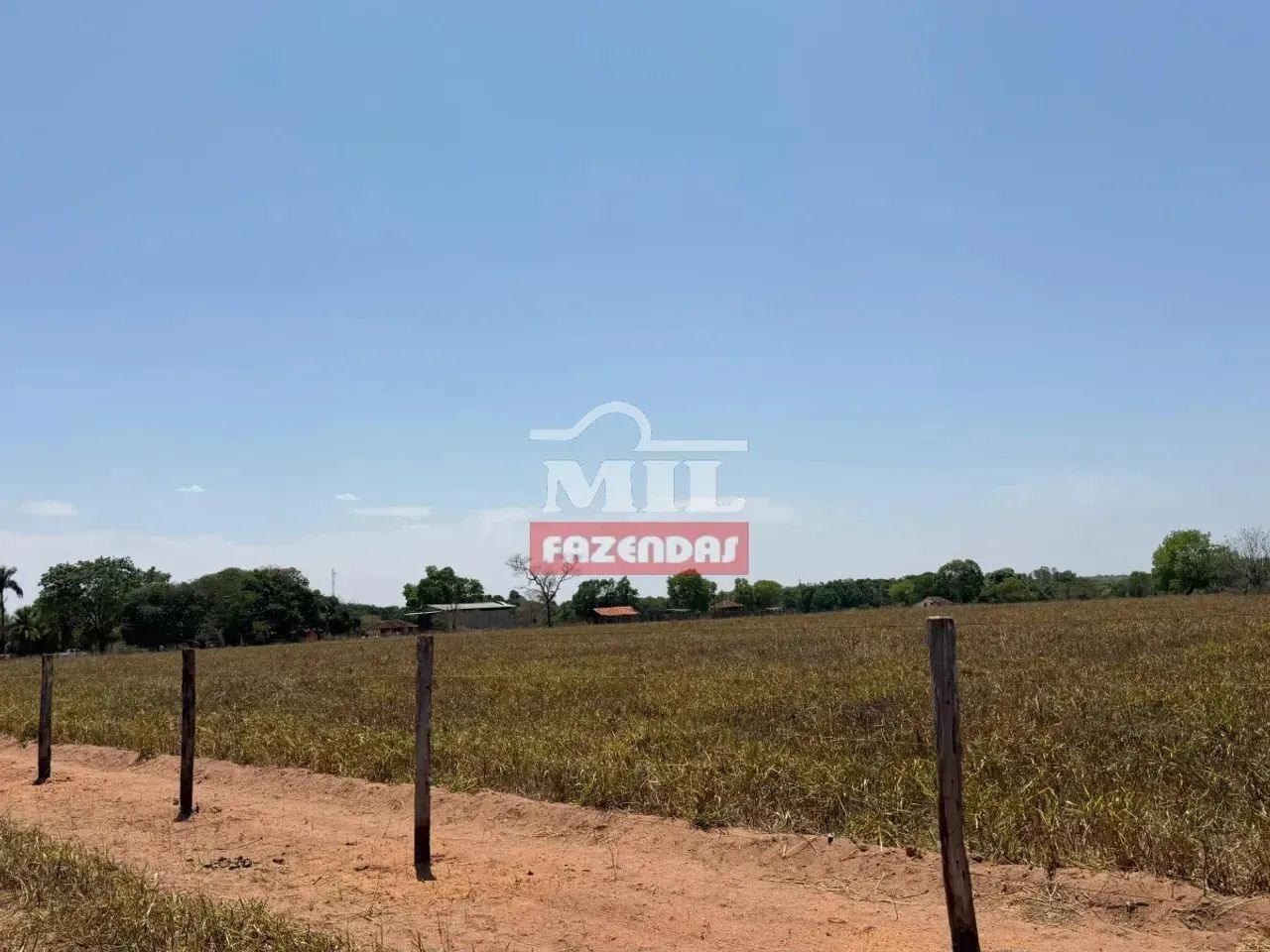 Fazenda 150 alqueires (726 hectares) Nova Crixas - Go - Foto 4