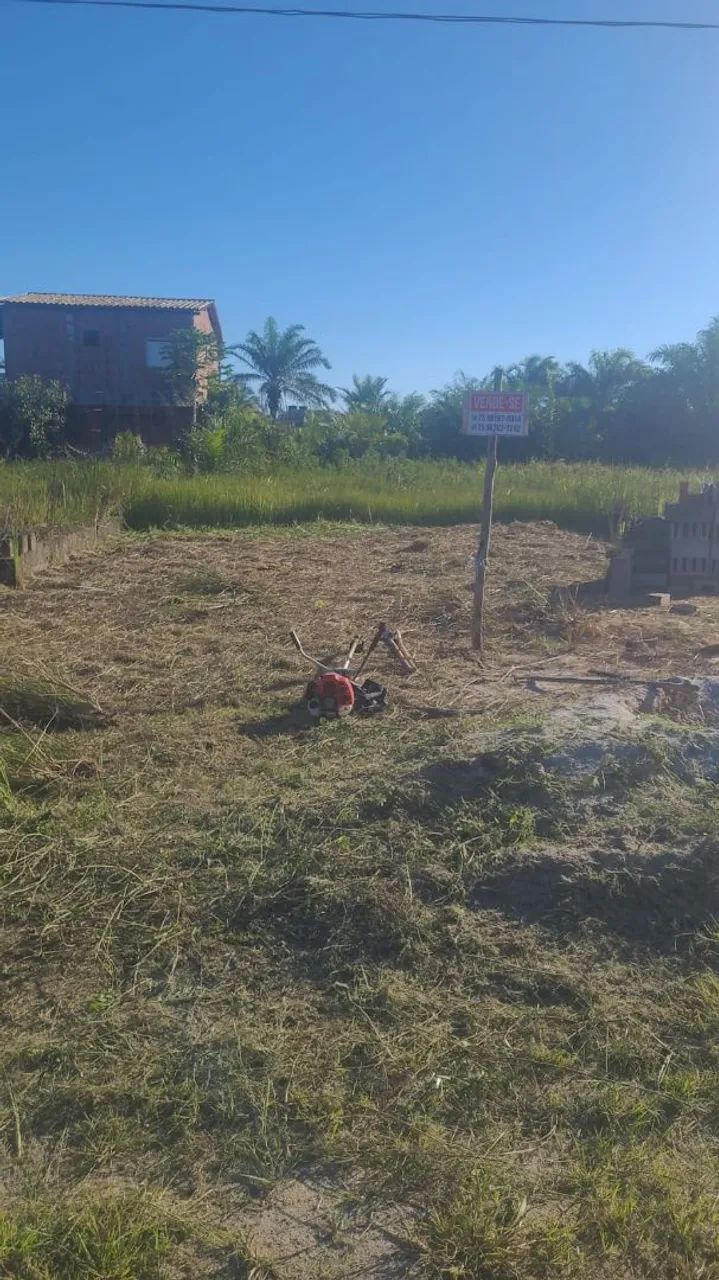 Terreno ilha - Foto 3