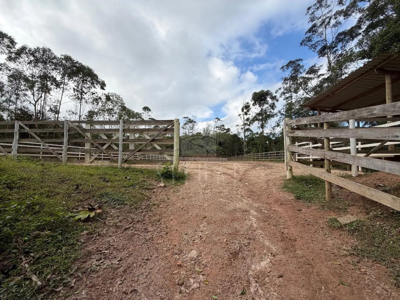 Haras com Estrutura para Hípica e Cavalos Criados em Baias - Foto 5