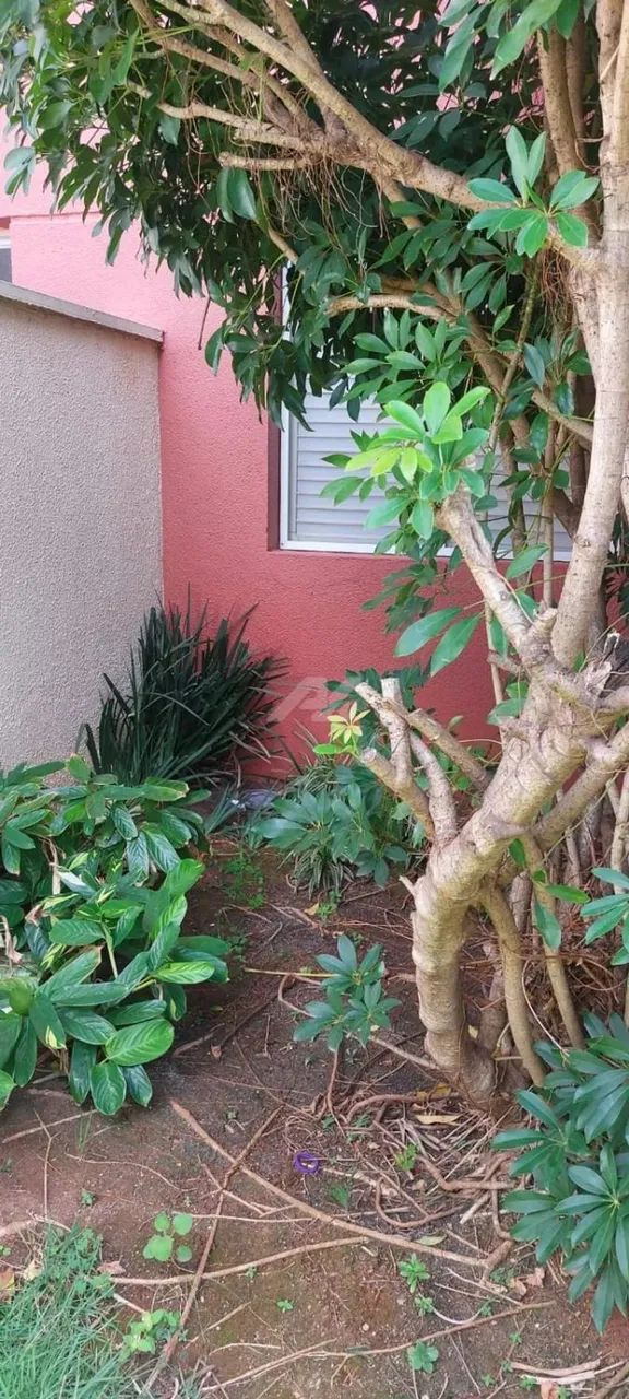apartamento - Ponte Preta - Campinas - Foto 5