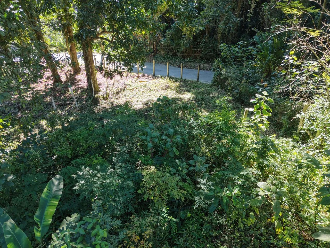 2 Terrenos a venda  - Foto 4