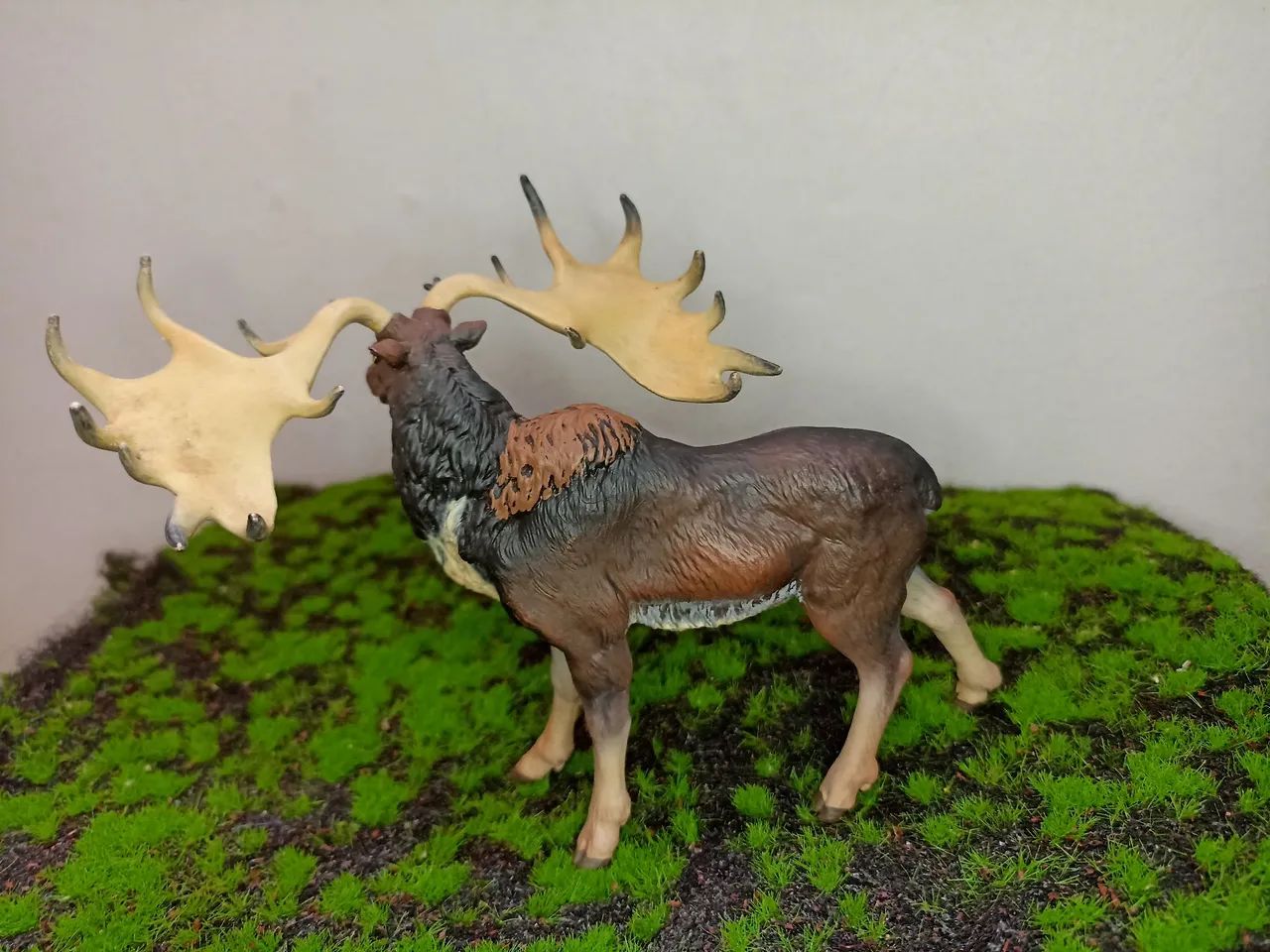 Animais da mega fauna alce gigante - Foto 2