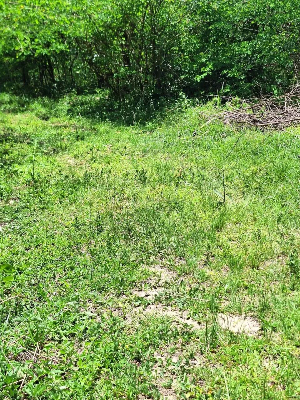 sítio com 14.000m² aproximadamente
