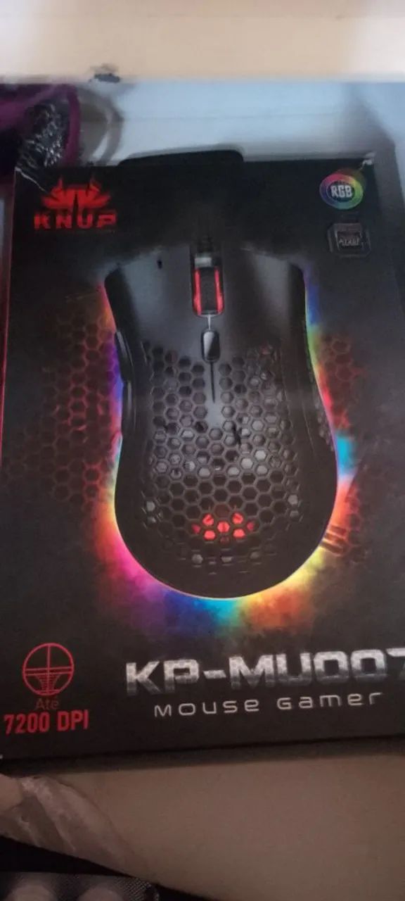 Mouse
