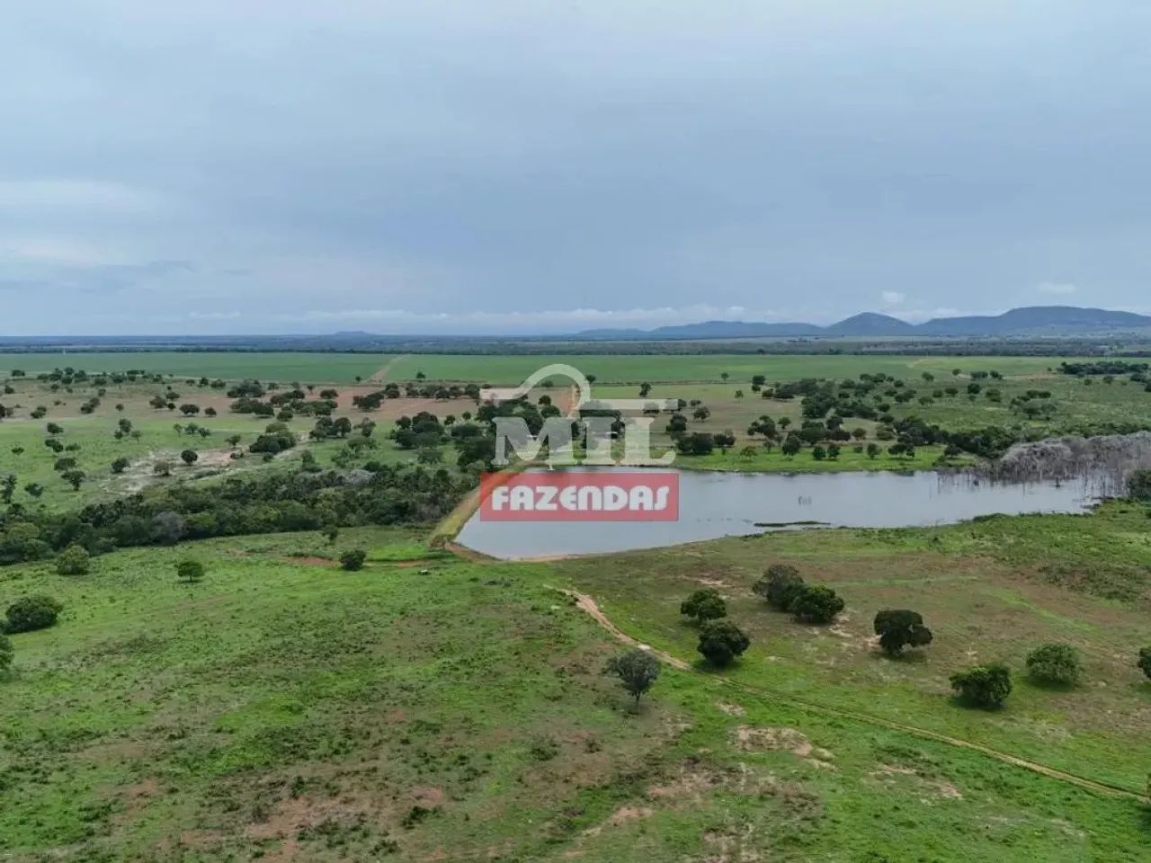 Fazenda 251 Alqueires ( 1.214 hectares ) Peixe - TO - Foto 3