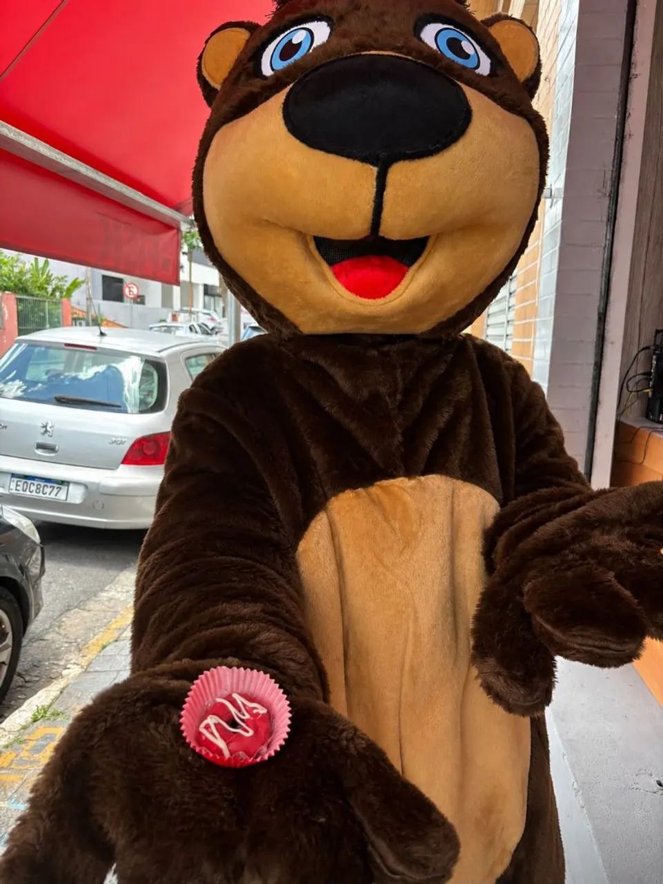 Fantasia de urso