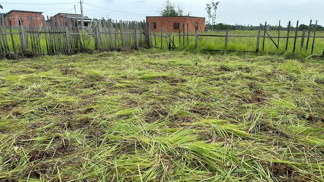 VENDO ESSE TERRENO  - Foto 4