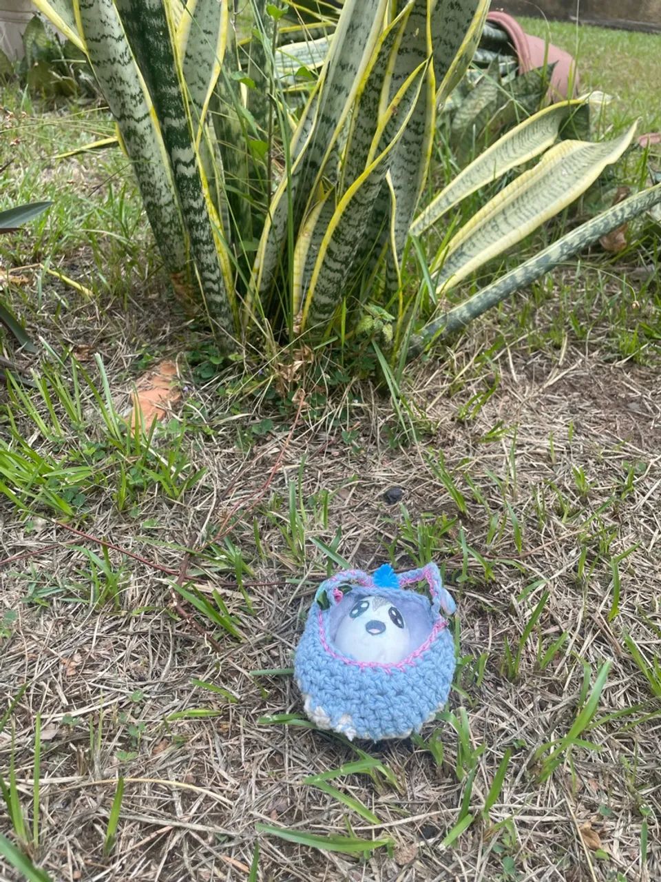 Casa em vigia  - Foto 2