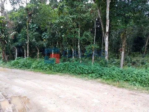 Terreno à venda na Praia de Boracéia em São Sebastião - SP - Foto 3