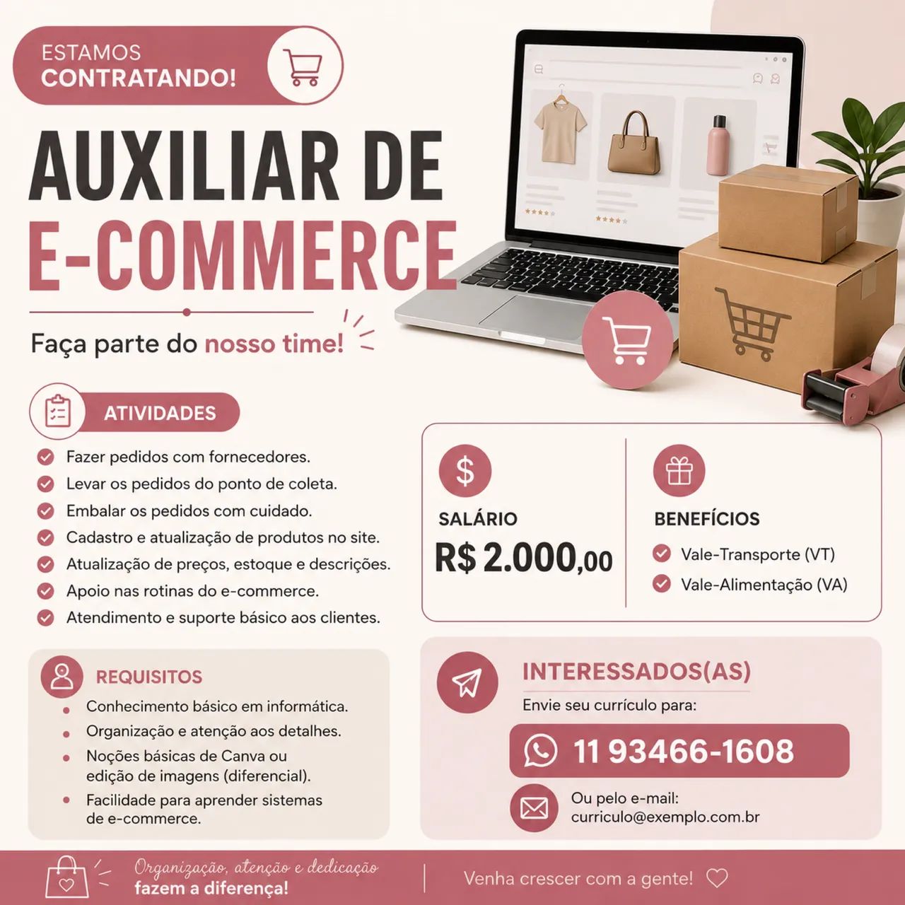 Vaga De Emprego Assistente De Ecommerce