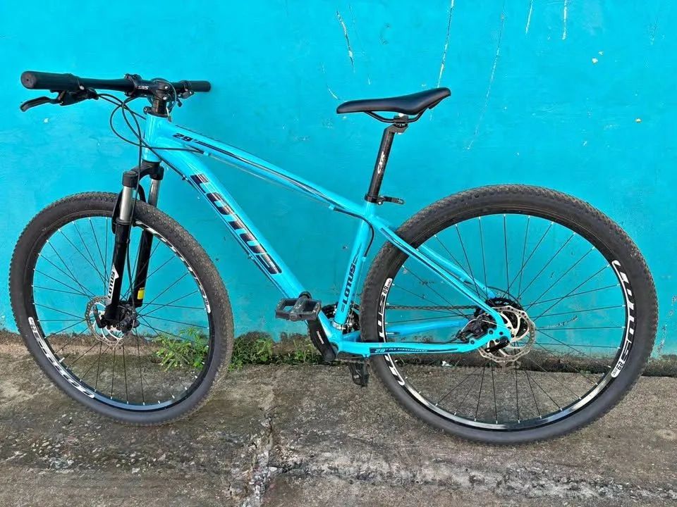 Bicicleta Lotus Aro 29
