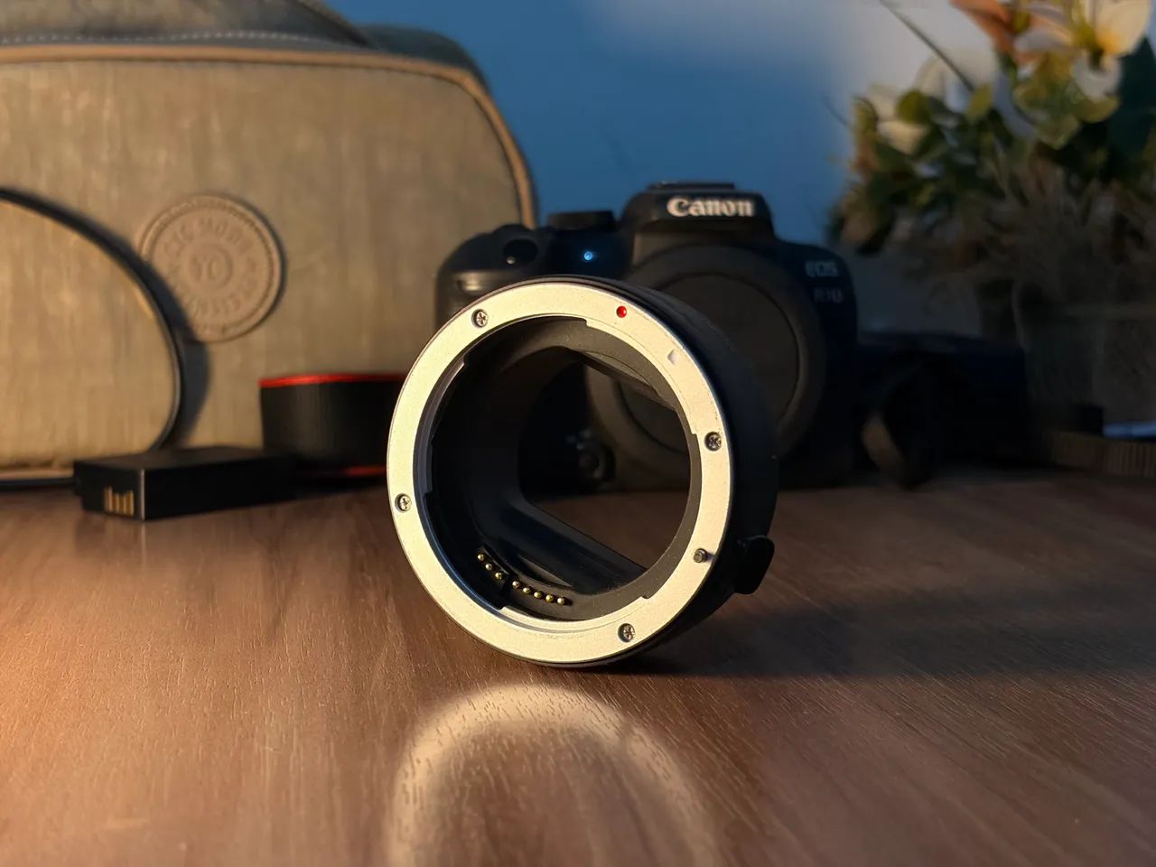 CANON EOS R10 - Foto 2